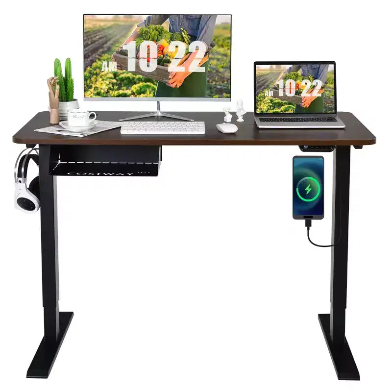 48'' Electric Standing Desk Height Adjustable w/ Control Panel & USB Port Rustic/Walnut